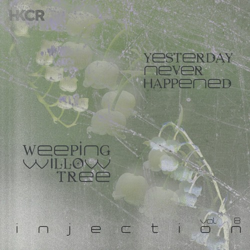 injection w yesterdayneverhappened x weepingwillowtree [2.13.24]