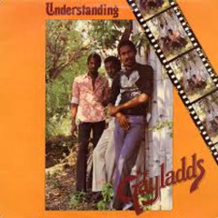 The Gaylads- What a Situation