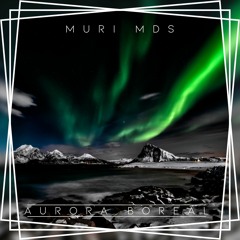 01 - La Playa Ft. DjWill [Prod. V.I.P.N]