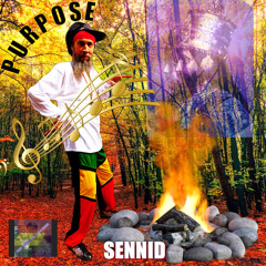 SENNID & JOSH GRENNAN BEATS MUSIC - PURPOSE!!