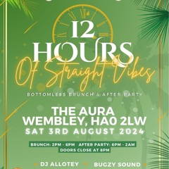 12 Hours Of Straight Vibes Live Audio DJ Allotey Host Aaron Deacon / Bugzy Sound (3/6/24)