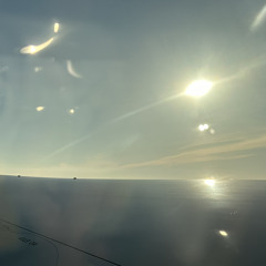 bored (laufey cover)