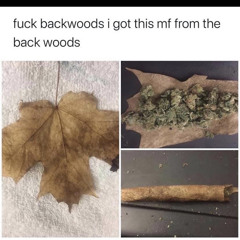 Honey|Backwoodz! (V.1)(Prod. Sunglao /\/\ KRio)