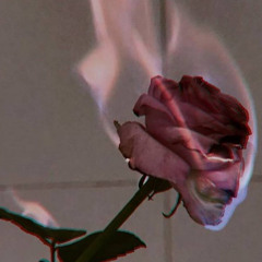 Burnt Roses