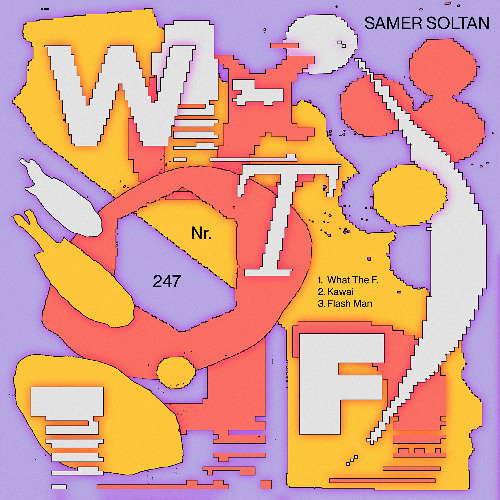 Samer Soltan - What The F