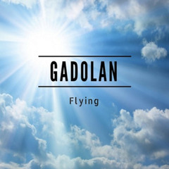 Fliying