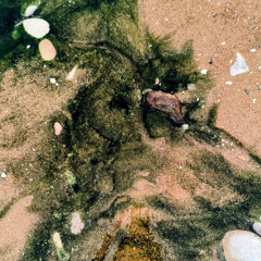 Smooth, jazzy and energy giving liquid D&B set