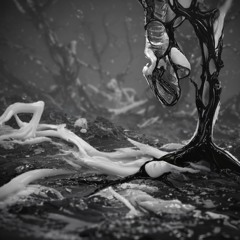 ERHARDY / PäNGLØSS - SSSS