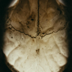 Inside the mind