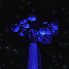 stars ambient