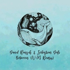 David Rausch & Sebastian Dali - Between (IV-IN Remix) [trndmsk]
