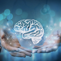 How Long-Term Social Connection Supports Brain Health and Memory in Aging