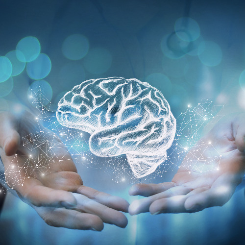 How Long-Term Social Connection Supports Brain Health and Memory in Aging