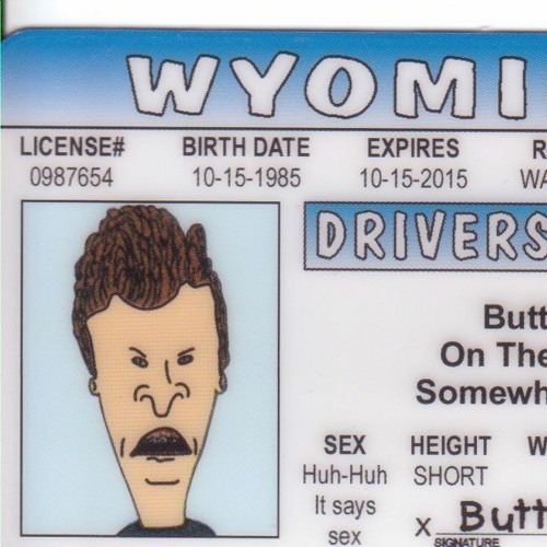 Fake ID X Circle Of Life