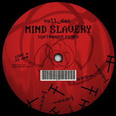 mind slavery (syringeee remix)