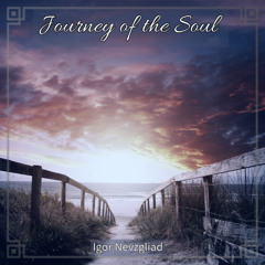 Journey of the Soul