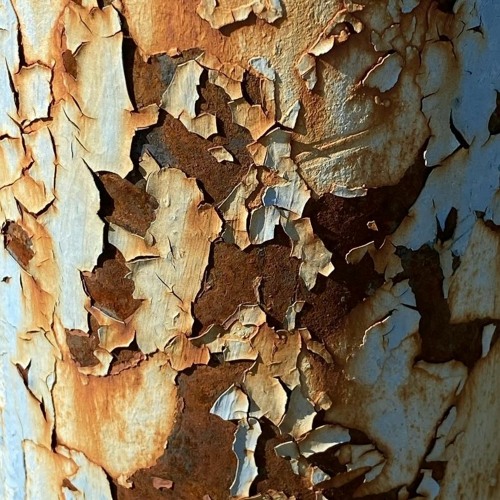 Spectrum w/ Dust - Subtle Radio - 07/04/2024