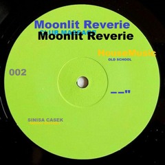 Moonlit Reverie/ The Club Massage- Sinisa Casek