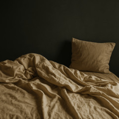 Hide In Your Bed
