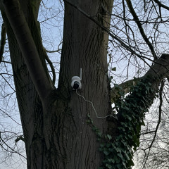 yungsain & killdummies - Kopffick