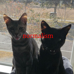 The Absurdist