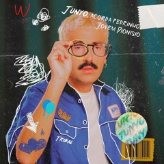 ACORDA PEDRINHO - Jovem Dionisio (JUNYO Tribal Remix)