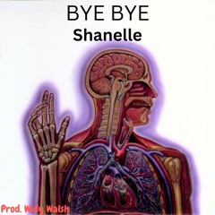 Shanelle Diss Track