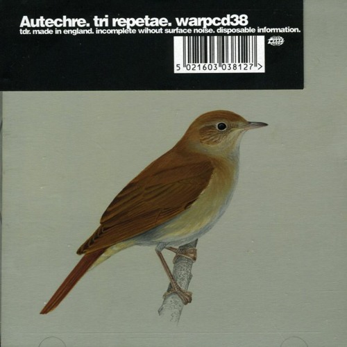 sexually frustrated bird makes better avant-garde music than you