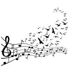 A Playlist About understanding sound and music