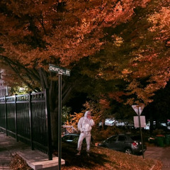 I Dreamed You Were the Forest