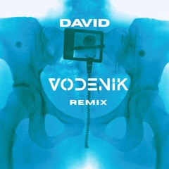 Lorde - DAVID (Vodenik Remix)