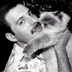 Queen - Cool Cat (re disco ver ''Slow Down'' Feeling The Beat of My Heart Synthpop reMix) back to 82