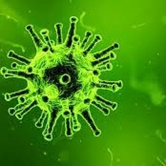 Antivirus PITCH MAD ATTAK (RAGGATEK)