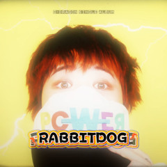 POWER(Rabbitdog Remix)