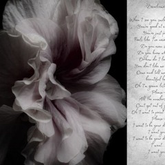 milady
