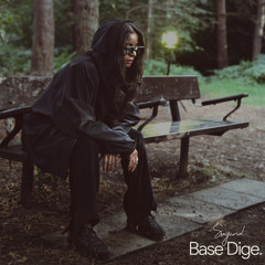 Base Dige
