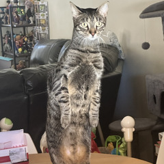 Ventilator (prod. Kyro)