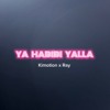 Download Video: Ya Habibi Yalla - Kimotion X Ray (remix)