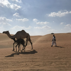 تمنيتك  تشوف الجرح الاول - مسرع