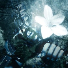 Realized (feat. miso, yuske, wenszy)