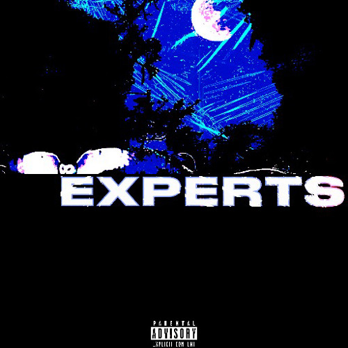 Experts // Blanco