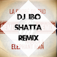 Dj Gil Ft. Douks & Dj Sosso - La Choré Du Sud 2025 (Dj IBO Remix)