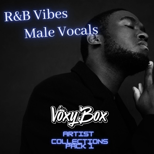 Artist Collection Pack 1 : R&B Vibes Male Vocals