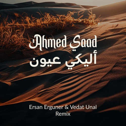 Ahmed Saad - Aleky Eyoun (Ersan Erguner & Vedat Unal Remix)