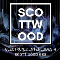 Interludes 4 - Ambient Mix - Scott Wood 088