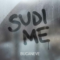 Sudi me
