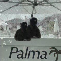 LIVE OPENING FOR DJ LEVI PALMA DAY CLUB