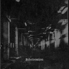 Zikiwiki - Echolocation