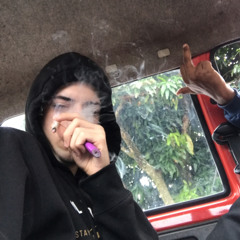 T0M4 T0M4🪵