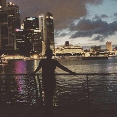 Sexy Back Ft My Humps - VP